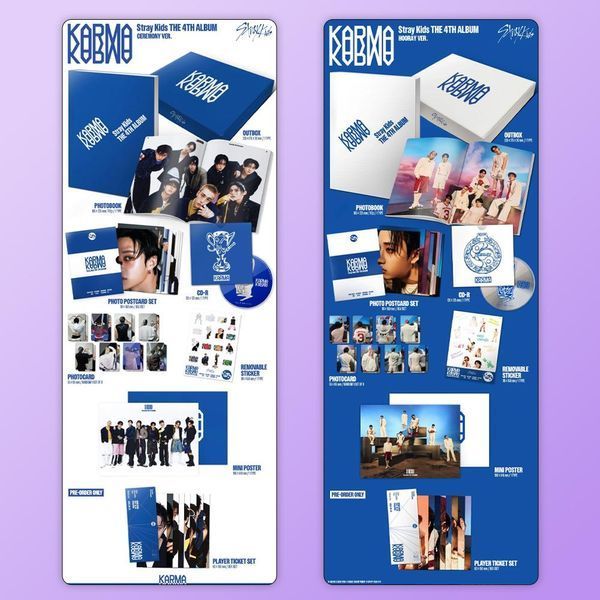 stray kids karma stay ver альбом купить skz