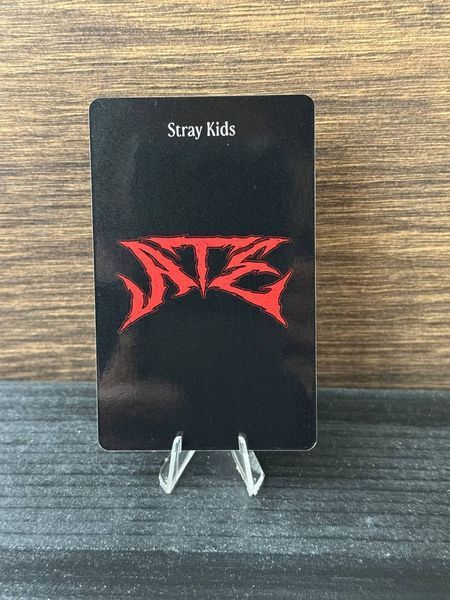 Фотокарточка Lee Know (Stray Kids ATE) kpop photocard, купить Украина